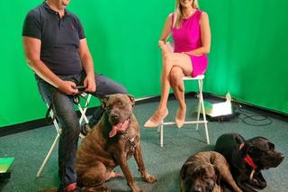 Jacek Rozenek dzięki psom stanął na nogi