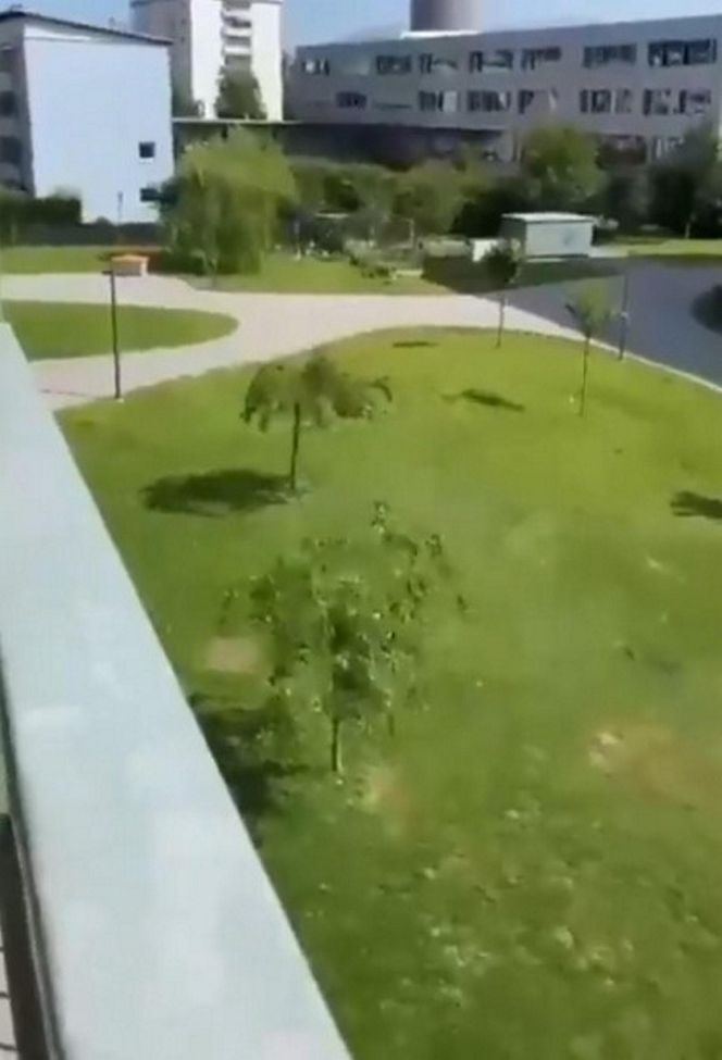 Strzelanina w szkole w Austrii. Przerażające nagrania