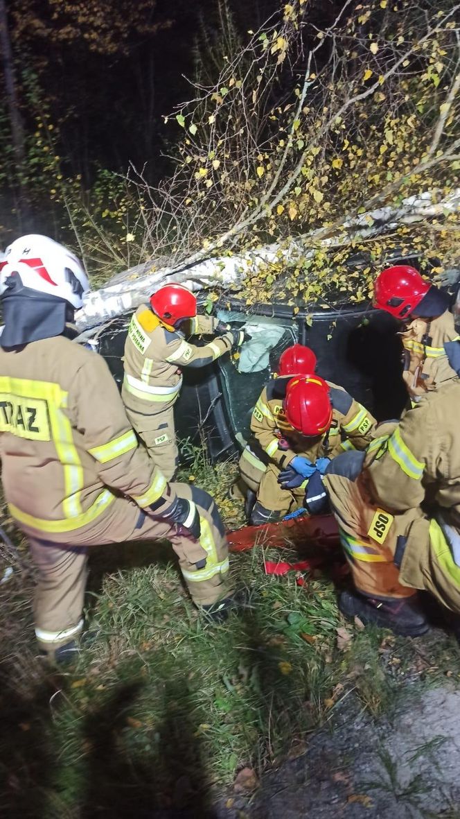 Auto wbiło się w przydrożne drzewo. Strażacy wycinali szybę piłą szablastą 