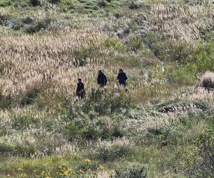 Nie żyje 37-latek z Leszna. Odnaleziony po tygodniach poszukiwań