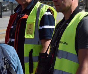 Eksmitują gołębie z Grubej Kaśki na czas remontu