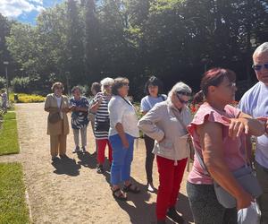 Kolejka tort urodziny Szczecina 