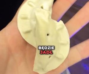 Tak wygląda jedzenie Sławosza Uznańskiego-Wiśniewskiego. Zje je w kosmosie 