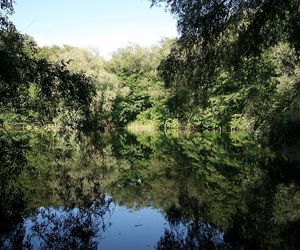 Świerczewo