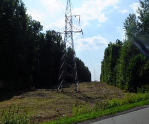 Zabójstwo kobiety we wsi pod Lublinem. Ciało znalazł syn