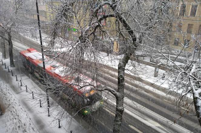 Lubelszczyzna - występują opady śniegu. Ale... będzie topniał