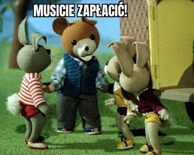 Najlepsze memy z białym misiem z Krupówek!