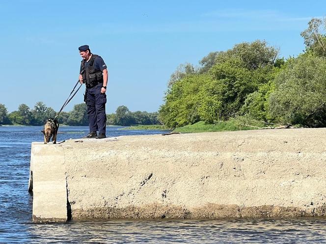 Działania służb na Wiśle w Toruniu. Straż, policja, strażnicy miejscy i grupa poszukiwawcza w akcji