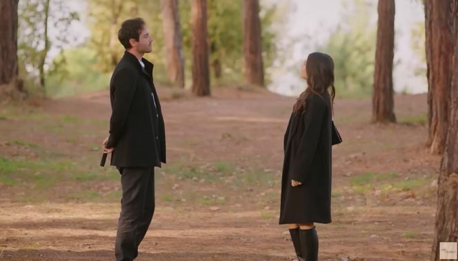 Miłość i nadzieja odc. 319. Levent, Acelya