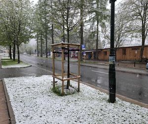 Śnieg w Zakopanem