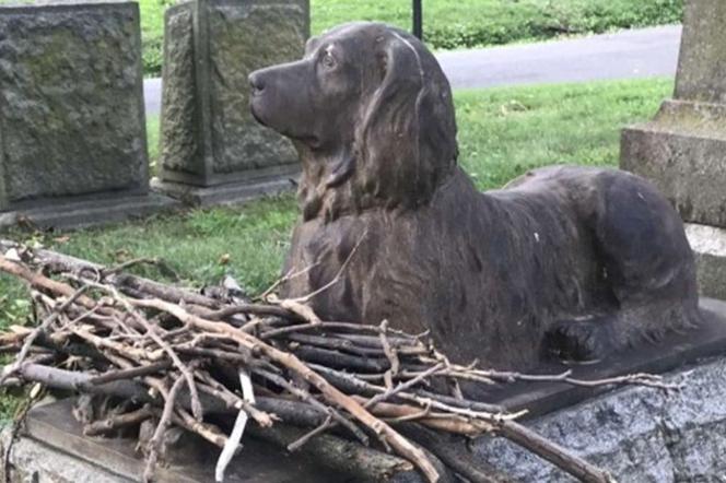 Grób psa, który zmarł 100 lat temu. Zmiast zniczy ludzie przynoszą mu patyki! 