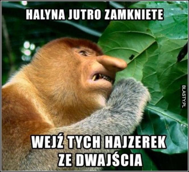 Majówka 2020 - zapamiętamy ją na długo!
