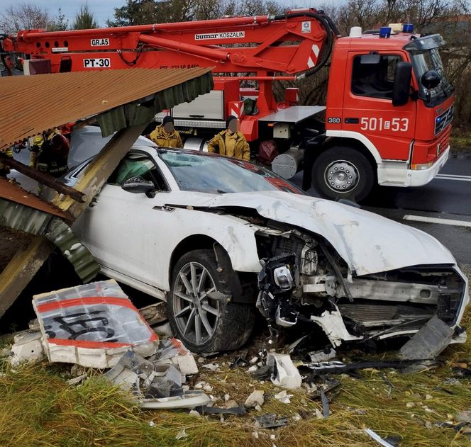 Fatalny wypadek pod Poddębicami. 33-latka z audi staranowała przystanek [ZDJĘCIA].