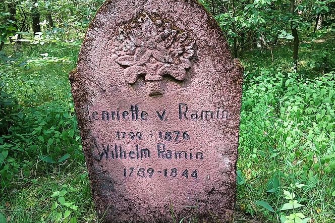 Leśny cmentarz rodu von Ramin