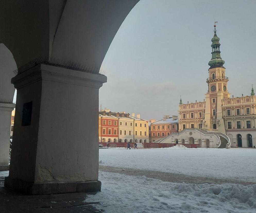 zamość