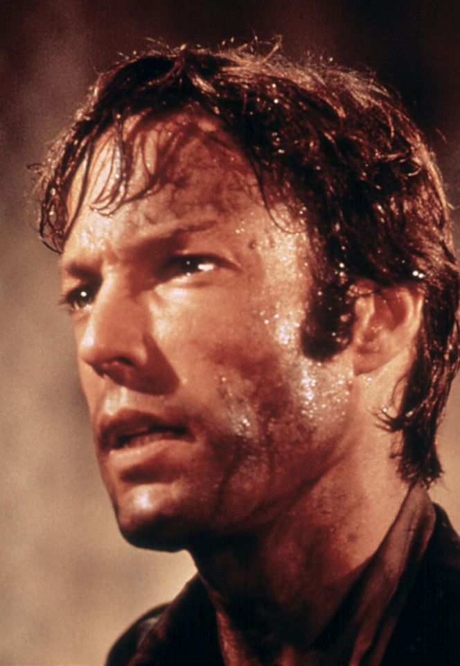 Richard Chamberlain 