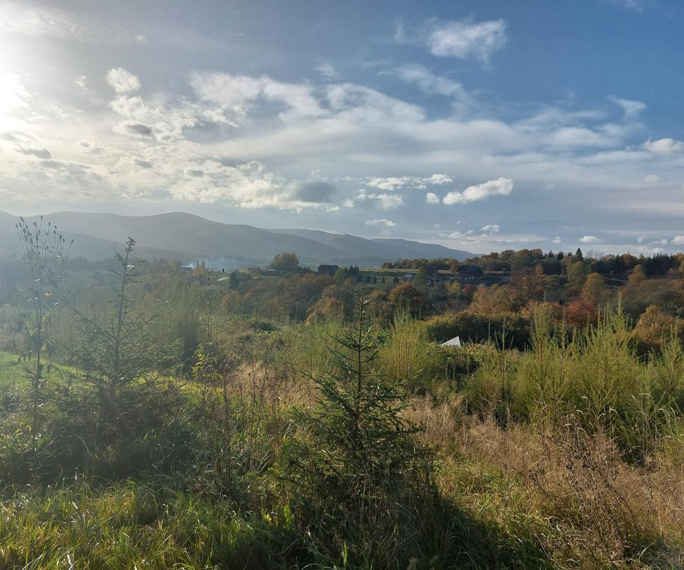 Bieszczady jesienią [GALERIA]