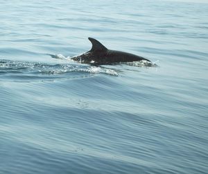 Niezwykłe zdarzenie na Bałtyku. Żeglarze wszystko nagrali. Ekspert: To nie koniec