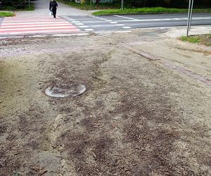 Usterki na Alei Fałata