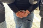 Boss gangu złodziei japońskich aut wpadł w dziupli. Grupa działała na terenie Warszawy