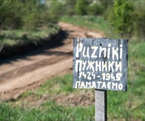 Ekshumacje w Puźnikach. Odnaleziono szczątki ponad 30 osób, trwają badania DNA