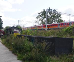 Zdemolowane rudery niemal w centrum Olsztyna. „Smród bywa podobno nie do zniesienia” [ZDJĘCIA]