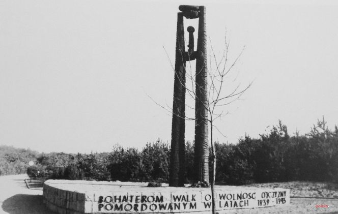 Olsztyńskie cmentarze na dawnych zdjęciach. Tak nekropolie wyglądały ponad 100 lat temu