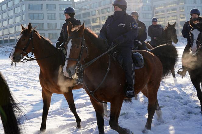 Warszawa: konie w policyjnej służbie