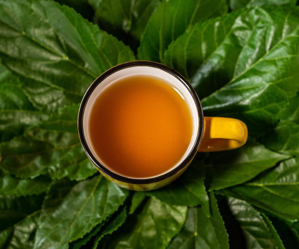 Łagodzi bóle stawów i wzmacnia odporność. Zaskakujący skład domowej mikstury