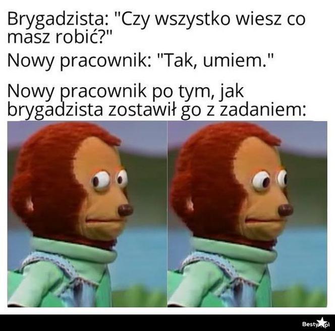 Memy o pracy