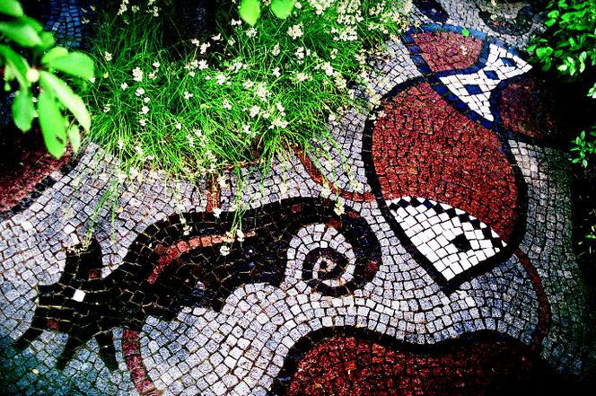 Mozaika kamienna w ogrodzie