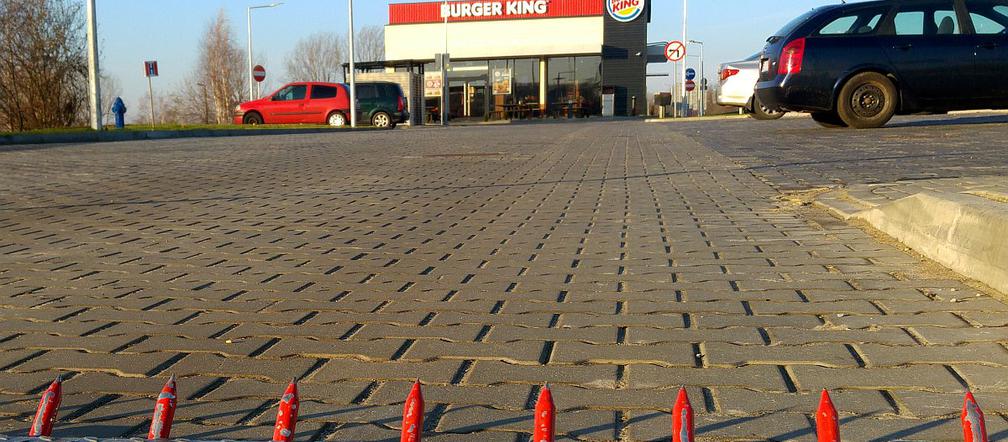 Kolczatka przy Burger King