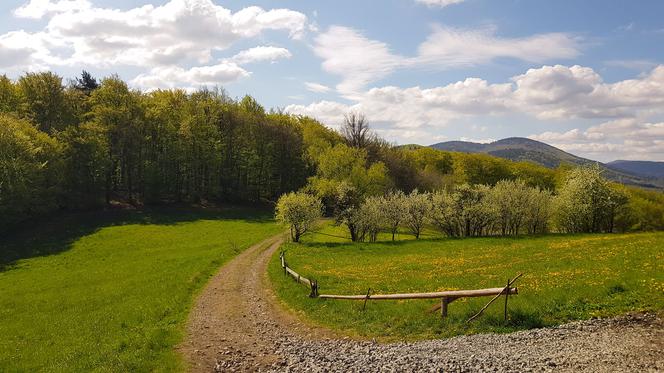 Od 1 maja Beskid Wyspowy znowu czeka na turystów