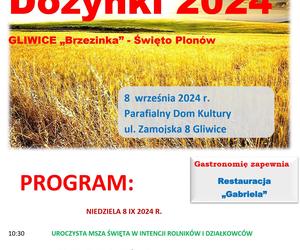 Dożynki 2024. Lista imprez dożynkowych w woj. śląskim