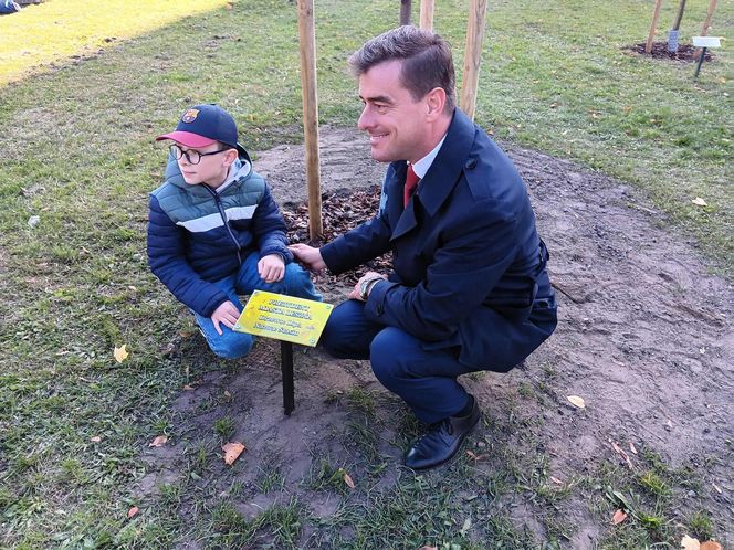 Danusia, Halinka, Linkus, Seniorita i Stasiu zapuszczają korzenie. Nowe nasadzenia w Lesznie