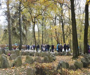 Tłumy na cmentarzu na Miłostowie