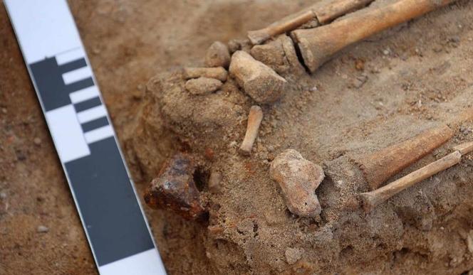 Kolejny intrygujący grób naukowcy odkryli w Pniu pod Bydgoszczą. To tzw. pochówki antywampiryczne [GALERIA]