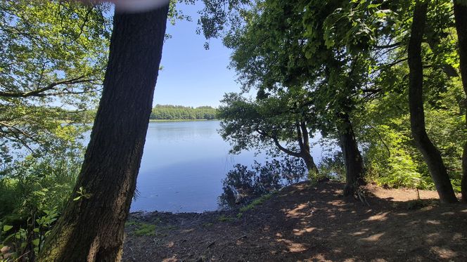 To jedno z największych jezior w Olsztynie. Kusi turystów piaszczystymi plażami