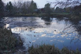 Kiedyś łowiono tam ryby w Białymstoku, teraz jest śmietnik. Co powstanie w tym miejscu?