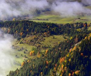 To najstarszy i najpiękniejszy park narodowy w Polsce. Warto odwiedzić go właśnie jesienią