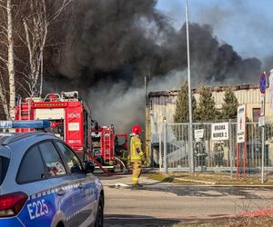 Ogromny pożar pod Zieloną Górą! Płonie hala firmy DBW. Jest pilny apel do mieszkańców