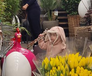 Joanna Kurska jak amerykańska gwiazda buszuje w sklepie ogrodniczym