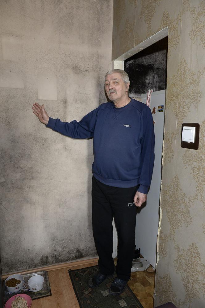 Ten grzyb nas zabije! Przerażające warunki w mieszkaniu komunalnym na Mińskiej.