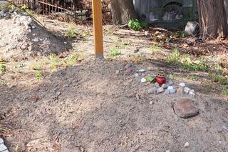 Smutny grób Barbary Lityńskiej