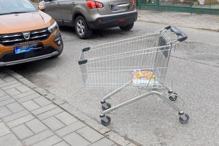 Szokujące zachowanie klientów Lidla. Załadowali wózek produktami za niemal 3500 zł, ale nie zapłacili ani złotówki