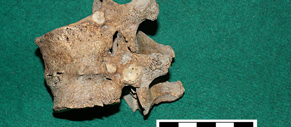 Ich ciała spoczywały pod Placem Litewskim