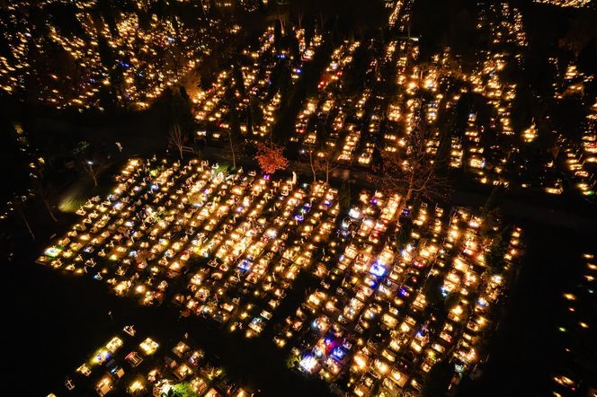 1 listopada na Cmentarzu Łostowickim w Gdańsku. Tak wygląda w dniu Wszystkich Świętych