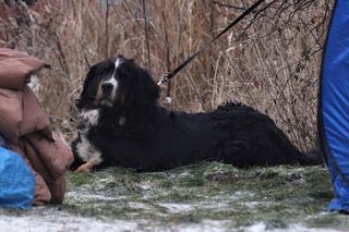 Morsowanie w podbydgoskich Pieckach [ZDJĘCIA]