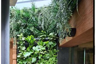 Zielona ściana w mieszkaniu