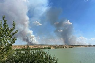 Potężny pożar lasów w Niemczech. Dym widać z okolic Lubina i Jawora na Dolnym Śląsku 